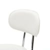 Round Shape Adjustable Salon Stool with Back and Line White